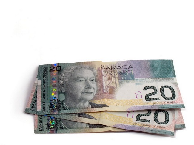 free forex signals